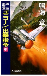 国連航空軍　「ユニコーン」出撃指令　中