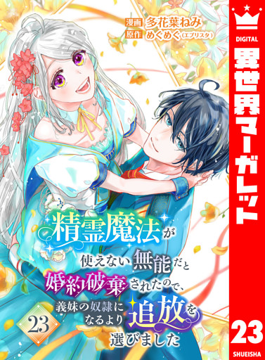 精霊魔法が使えない無能だと婚約破棄されたので、義妹の奴隷になるより追放を選びました 23
