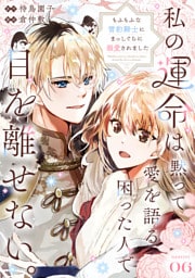 私の運命は、黙って愛を語る困った人で目を離せない。～もふもふな雪豹騎士にまっしぐらに溺愛されました～ 【連載版】６