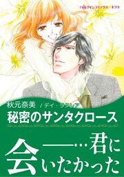 秘密のサンタクロース