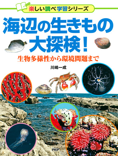 海辺の生きもの大探検！