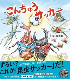 こんちゅうサッカー