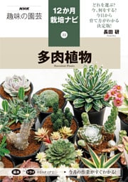 多肉植物