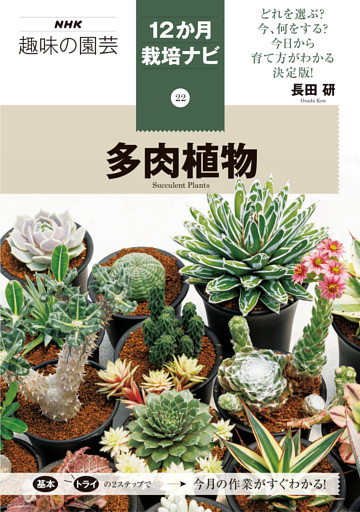 多肉植物