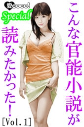 こんな官能小説が読みたかった！vol.1