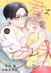 君はシンデレラフィット 11