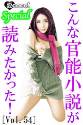 こんな官能小説が読みたかった！vol.54