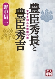 豊臣秀長と豊臣秀吉