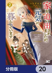 家を追い出されましたが、元気に暮らしています　～チートな魔法と前世知識で快適便利なセカンドライフ！～【分冊版】　20