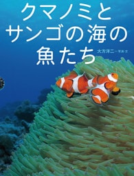 クマノミとサンゴの海の魚たち