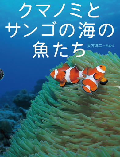 クマノミとサンゴの海の魚たち