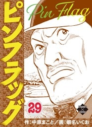 ピンフラッグ 29