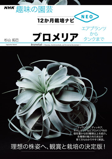 ブロメリア　エアプランツからタンクまで