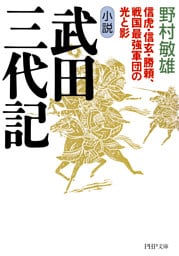 小説　武田三代記