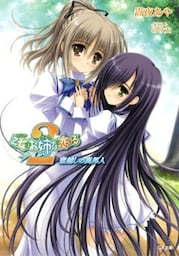乙女はお姉さまに恋してる2 ~窓越しの異邦人~