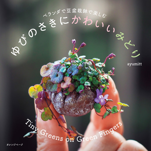 ベランダで豆盆栽鉢で楽しむ　ゆびのさきにかわいいみどり