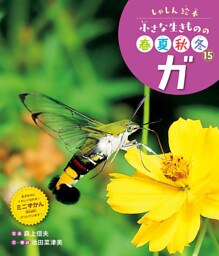 ガ１５　しゃしん絵本　小さな生きものの春夏秋冬