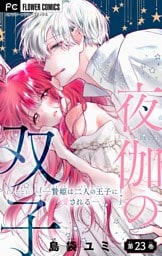 夜伽の双子―贄姫は二人の王子に愛される―【マイクロ】（２３）