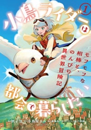 小鳥ライダーは都会で暮らしたい モフモフな相棒と、のんびり異世界冒険記 (1)