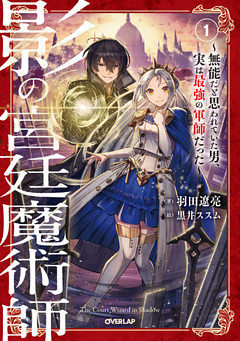 影の宮廷魔術師