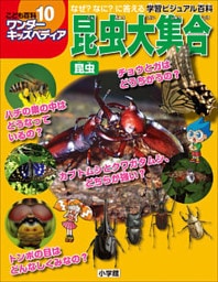 ワンダーキッズペディア10　昆虫 ～昆虫大集合～