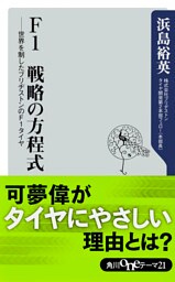 Ｆ１　戦略の方程式　世界を制したブリヂストンのＦ１タイヤ