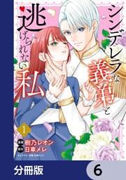 シンデレラな義弟と逃げられない私【分冊版】　6