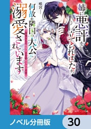姉に悪評を立てられましたが、何故か隣国の大公に溺愛されています【ノベル分冊版】　30