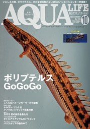 いぬのきもち 2024年10月号 | dマガジンなら人気雑誌が読み放題！
