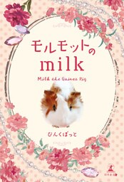 モルモットのmilk