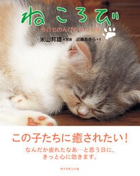 ねころび―――今日ものんびりらっくす