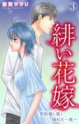 緋い花嫁～契約婚と彼と拗れた一族～ 3