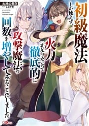 初級魔法しか使えず、火力が足りないので徹底的に攻撃魔法の回数を増やしてみることにしました