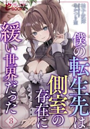 僕の転生先は側室の存在に緩い世界だった３