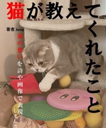 猫が教えてくれたこと（1）