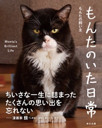 もんたのいた日常