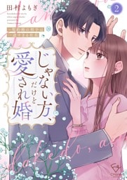 じゃない方、だけど愛され婚～契約婚の相手は一途すぎる社長【単行本版】２【特典ペーパー付き】