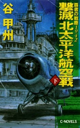 覇者の戦塵1942 撃滅 北太平洋航空戦 下