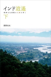 インド逍遥（下）　精神文化揺籃の大地を歩く