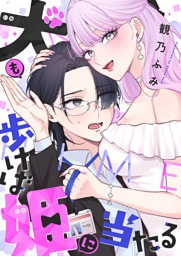 犬も歩けば姫に当たる(3)