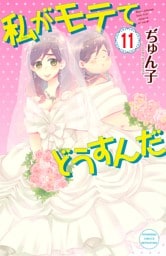 私がモテてどうすんだ（１１）