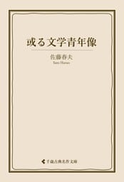 或る文学青年像