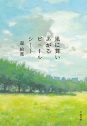 風に舞いあがるビニールシート