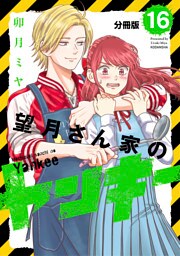 望月さん家のヤンキー　分冊版（１６）