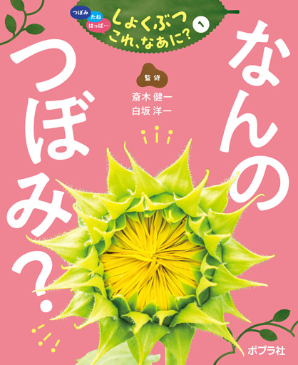 つぼみ・たね・はっぱ・・・　しょくぶつ　これ、なあに？