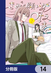 きみの願いが叶うまで【分冊版】　14