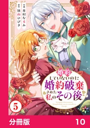 婚約していないのに婚約破棄された私のその後【分冊版】10