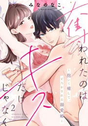 奪われたのはキスだけじゃなく 〜抱いて癒して、とろかされる溺愛婚〜（2）