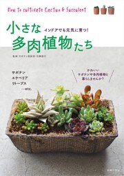小さな多肉植物たち