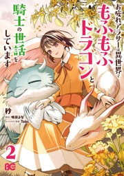 お疲れアラサーは異世界でもふもふドラゴンと騎士の世話をしています 2
